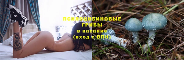 гашик Вязники