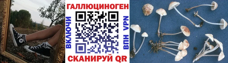 дарнет шоп  Гусиноозёрск  Псилоцибиновые грибы MAGIC MUSHROOMS 